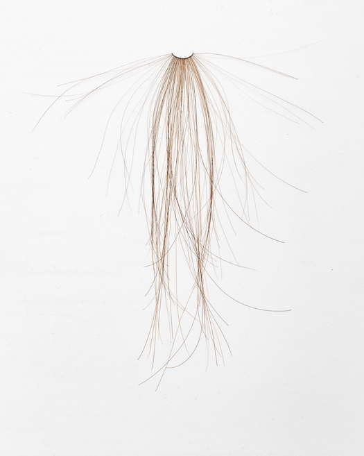 Col xl ls m rk mellem 2025