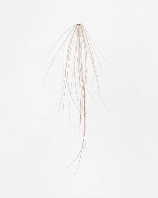 Col xl ls m rk lille 2025