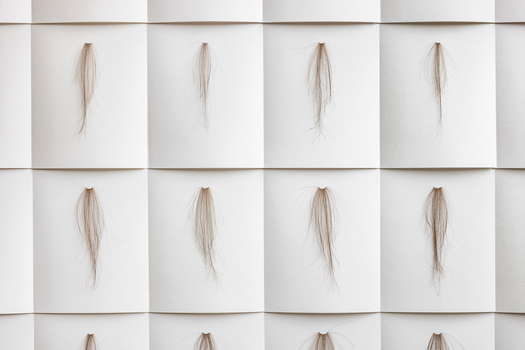 Col xl ls smallspace udsnit m rke 2025