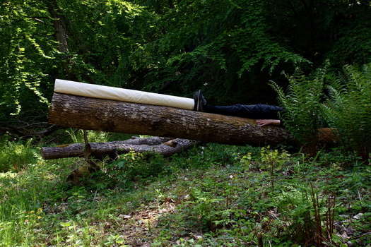 Col xl 20meterii rulleogkropp stamme 2023