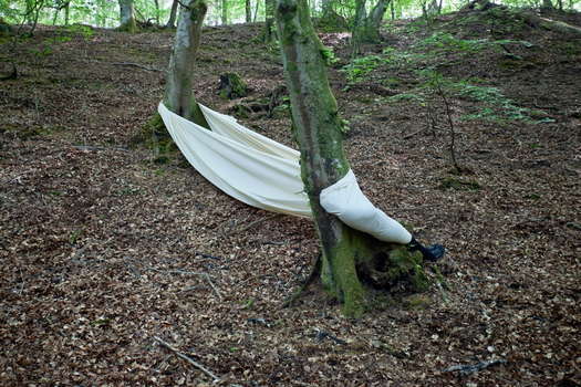 Col xl 20meterii ibenp skr nt 2023